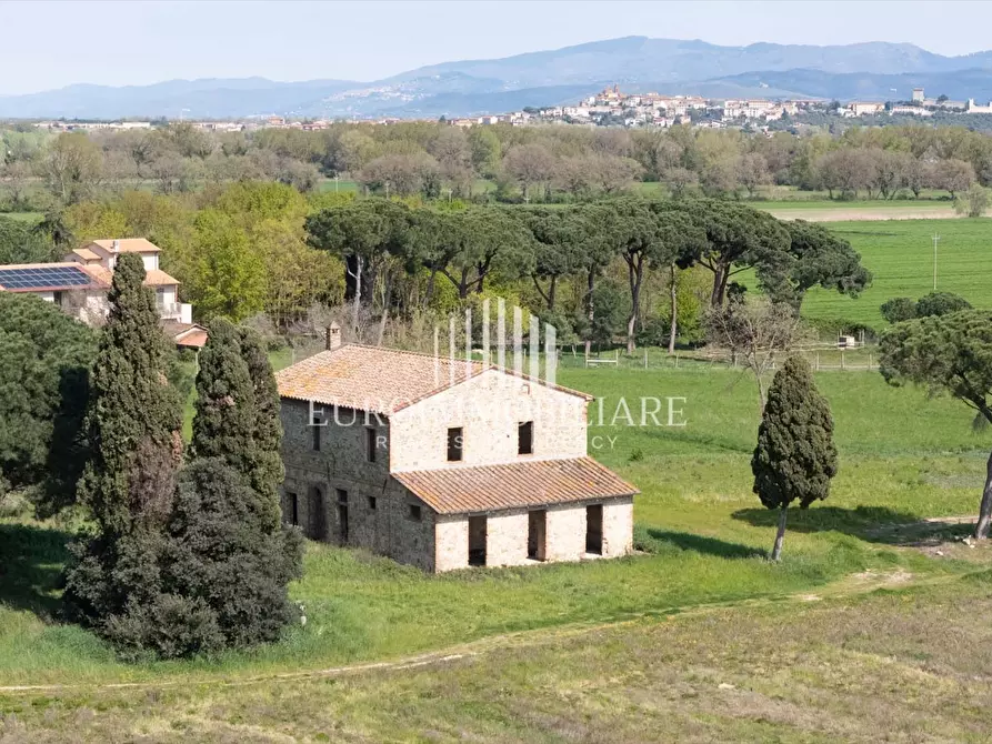 Immagine 7 di Rustico / casale in vendita  in Via Romea, 16 a Castiglione Del Lago