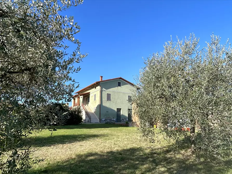 Immagine 1 di Rustico / casale in vendita  a Castiglione Del Lago