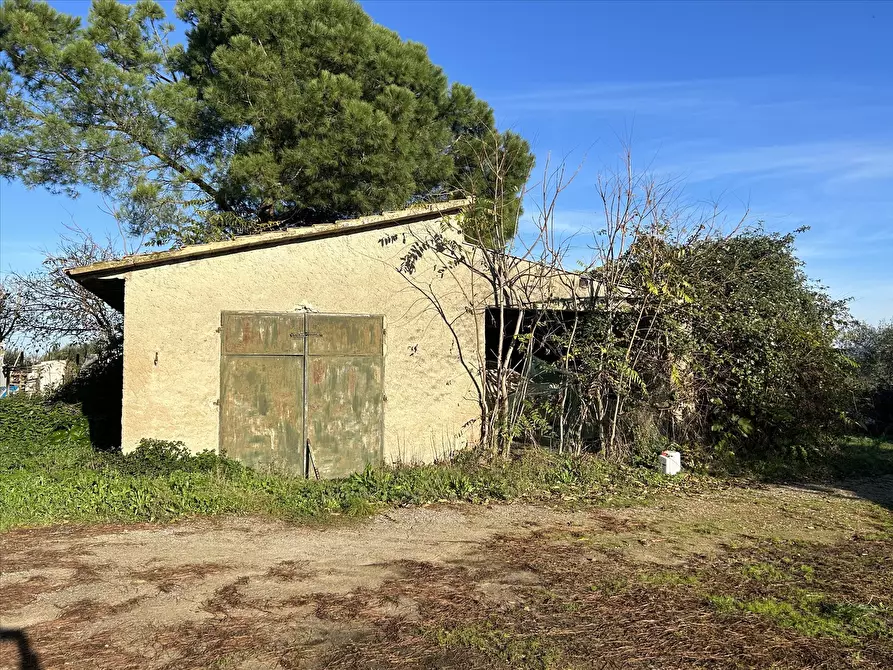 Immagine 5 di Rustico / casale in vendita  in Località Marchetti, 43 a Castiglione Del Lago