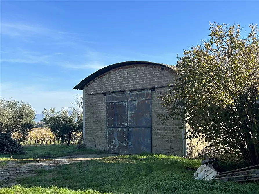 Immagine 4 di Rustico / casale in vendita  in Località Marchetti, 43 a Castiglione Del Lago