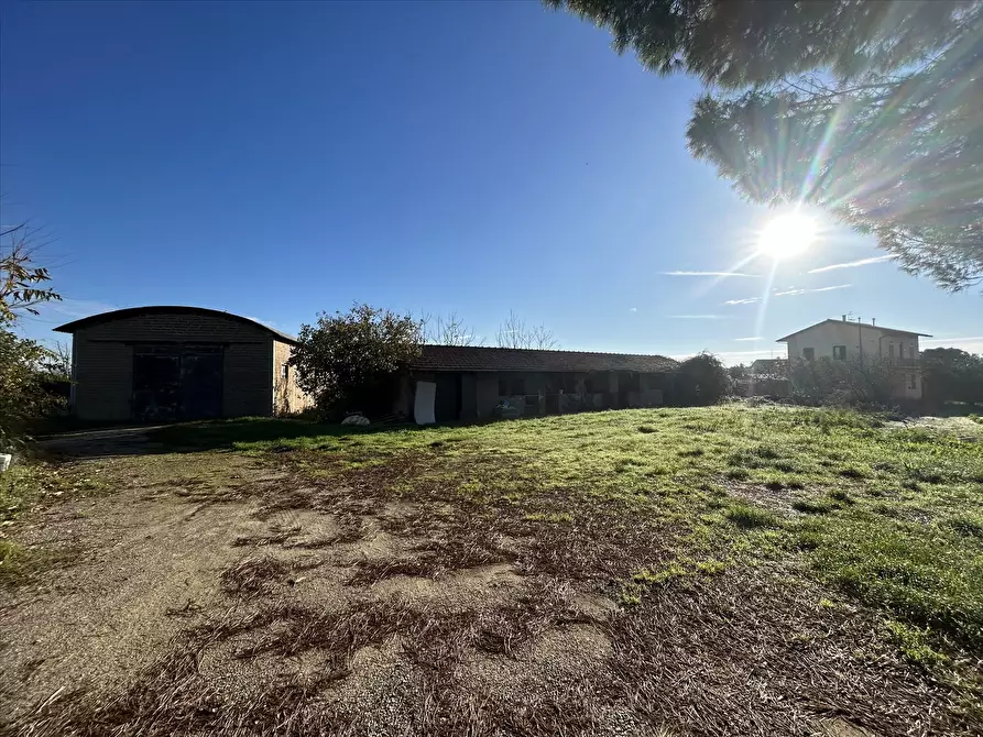 Immagine 7 di Rustico / casale in vendita  in Località Marchetti, 43 a Castiglione Del Lago