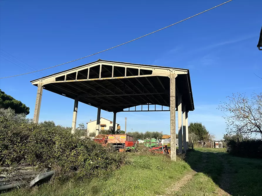 Immagine 6 di Rustico / casale in vendita  in Località Marchetti, 43 a Castiglione Del Lago