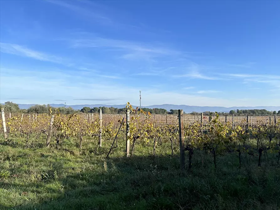 Immagine 8 di Rustico / casale in vendita  in Località Marchetti, 43 a Castiglione Del Lago
