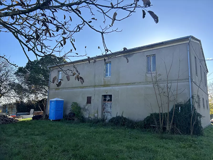 Immagine 3 di Rustico / casale in vendita  in Località Marchetti, 43 a Castiglione Del Lago
