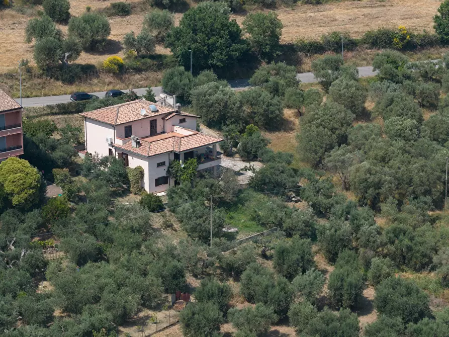 Immagine 2 di Villa in vendita  a Magione