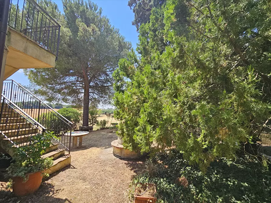 Immagine 2 di Casa indipendente in vendita  a Castiglione Del Lago