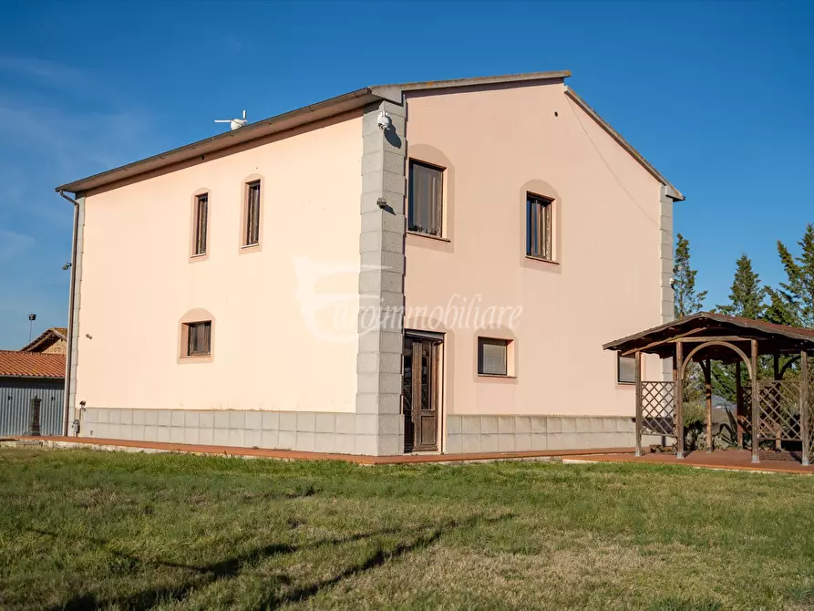 Immagine 4 di Azienda agricola in vendita  in Via XXV Aprile, 11 a Castiglione Del Lago