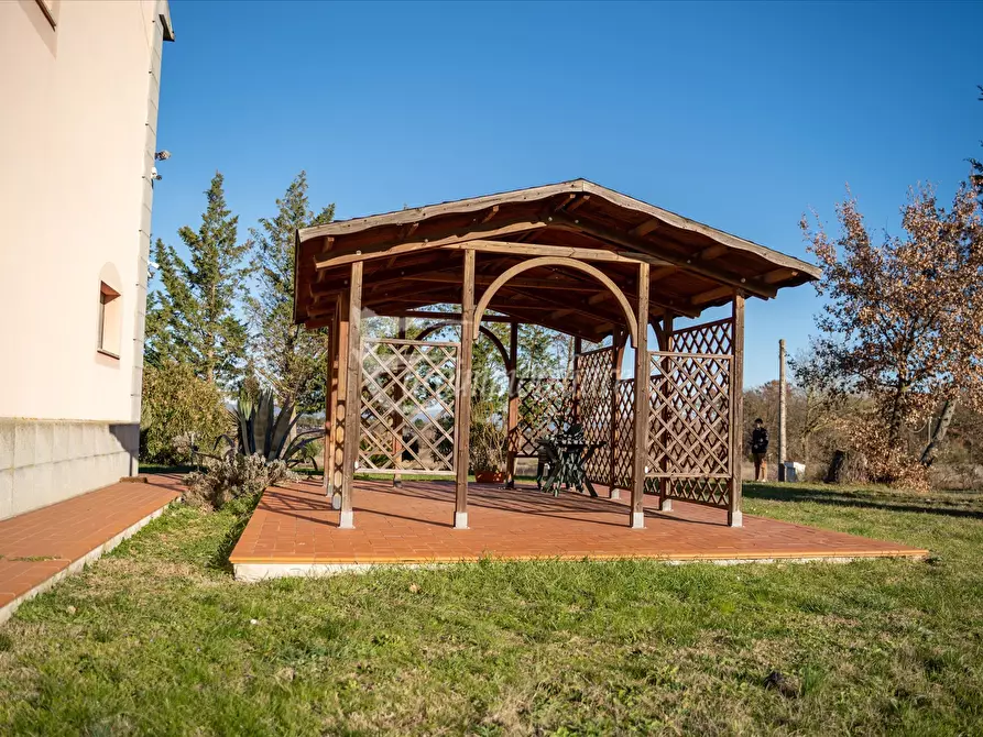 Immagine 5 di Azienda agricola in vendita  in Via XXV Aprile, 11 a Castiglione Del Lago