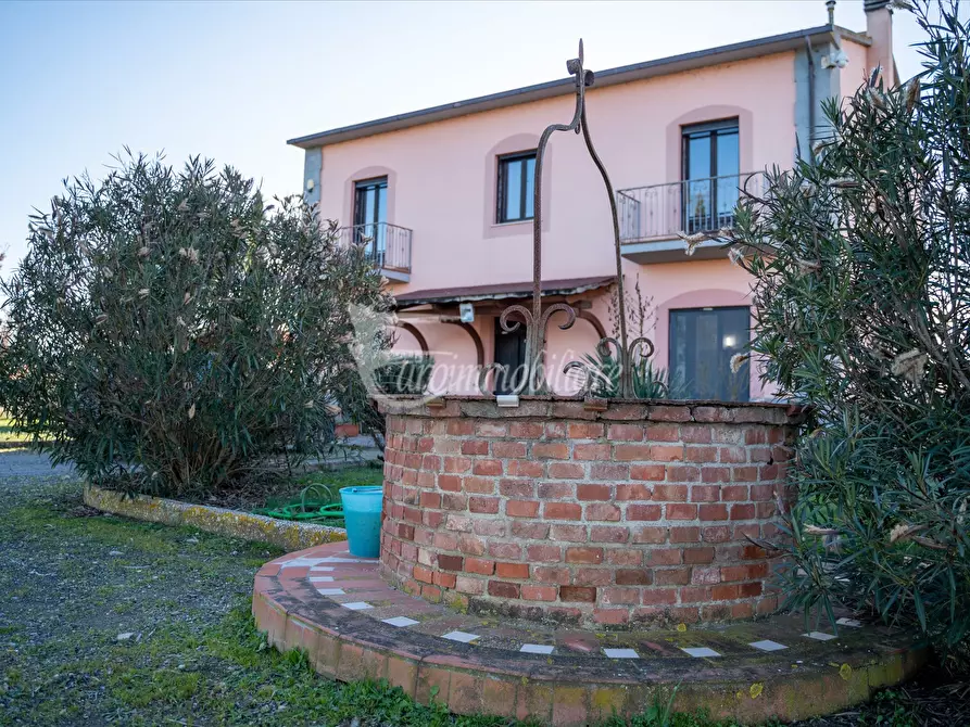 Immagine 2 di Azienda agricola in vendita  in Via XXV Aprile, 11 a Castiglione Del Lago