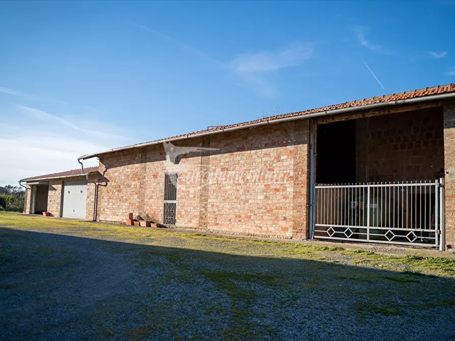 Immagine 6 di Azienda agricola in vendita  in Via XXV Aprile, 11 a Castiglione Del Lago