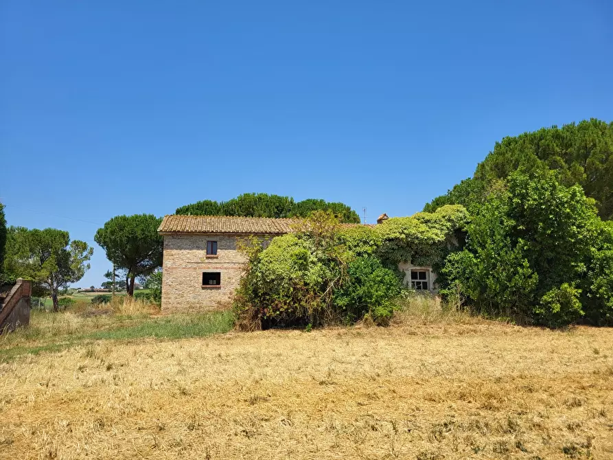 Immagine 5 di Rustico / casale in vendita  a Perugia