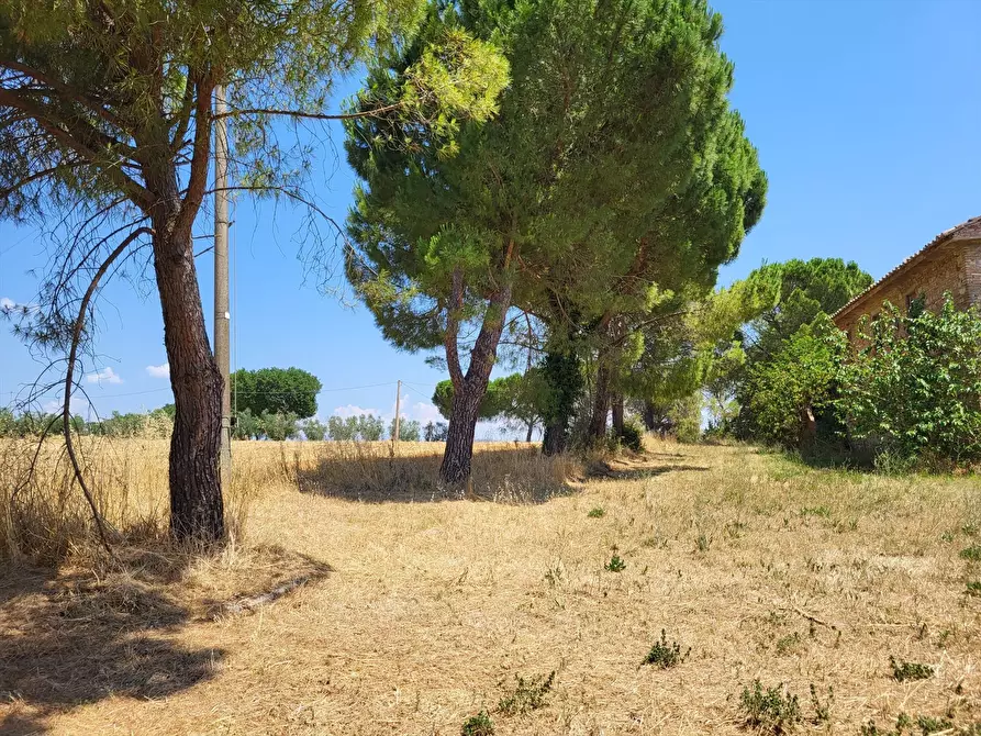 Immagine 8 di Rustico / casale in vendita  a Perugia