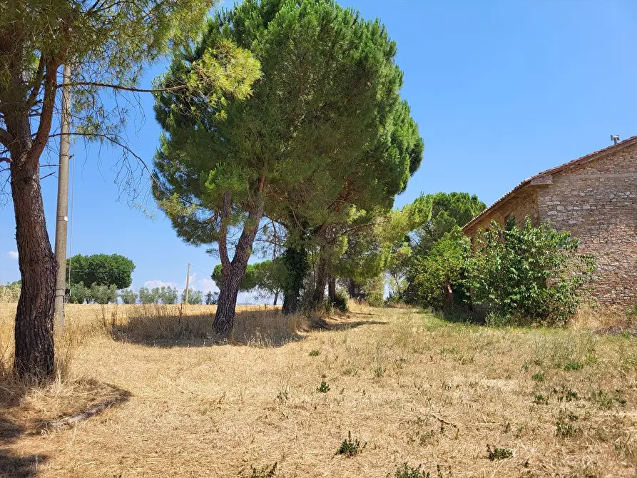 Immagine 10 di Rustico / casale in vendita  a Perugia
