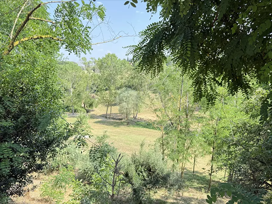 Immagine 6 di Porzione di casa in vendita  in Località Croce, 15 a Castiglione Del Lago