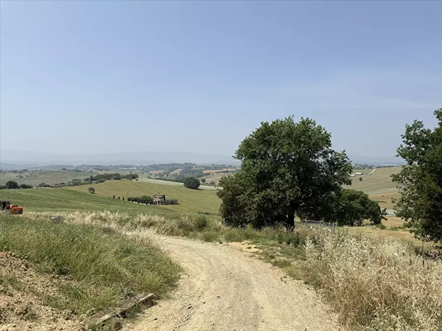Immagine 9 di Rustico / casale in vendita  in Via Silvio Pellico, 1 a Castiglione Del Lago