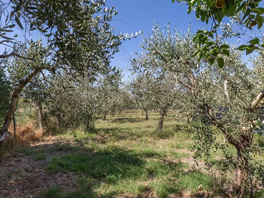 Immagine 9 di Casa indipendente in vendita  in Via Vittorio Emanuele, 43 a Castiglione Del Lago