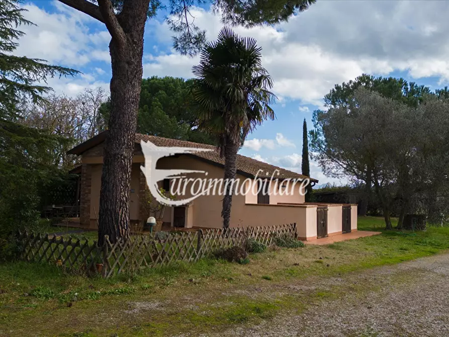 Immagine 10 di Azienda agricola in vendita  in Via Castagni a Castiglione Del Lago