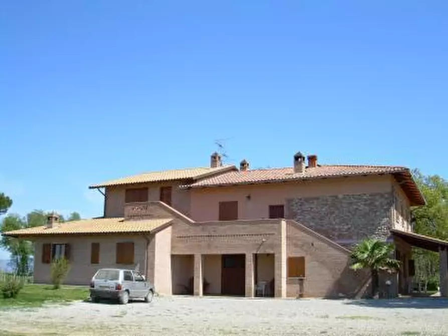 Immagine 3 di Azienda agricola in vendita  in Via Castagni a Castiglione Del Lago