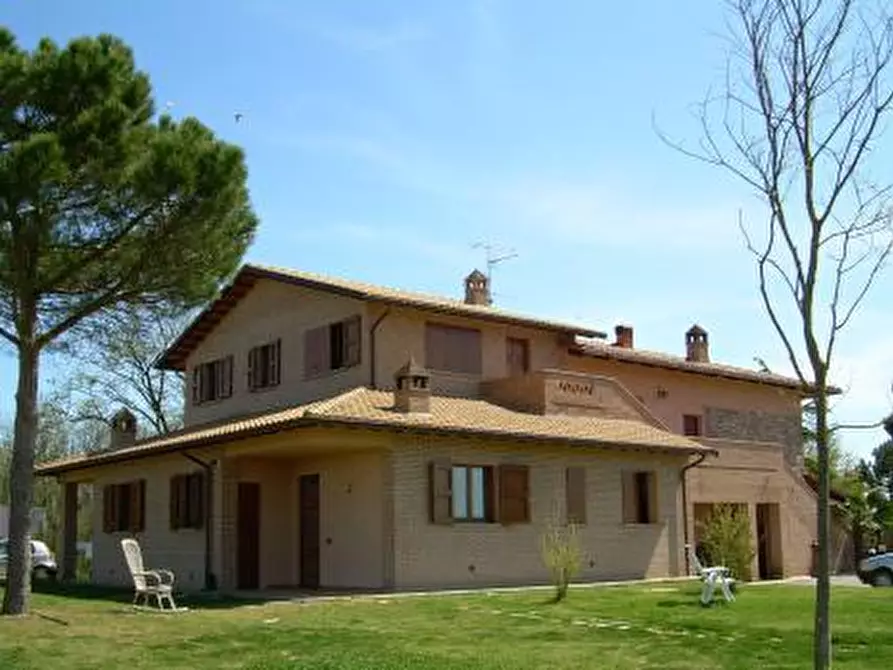 Immagine 4 di Azienda agricola in vendita  in Via Castagni a Castiglione Del Lago