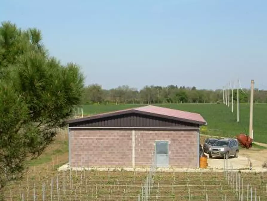 Immagine 6 di Azienda agricola in vendita  in Via Castagni a Castiglione Del Lago