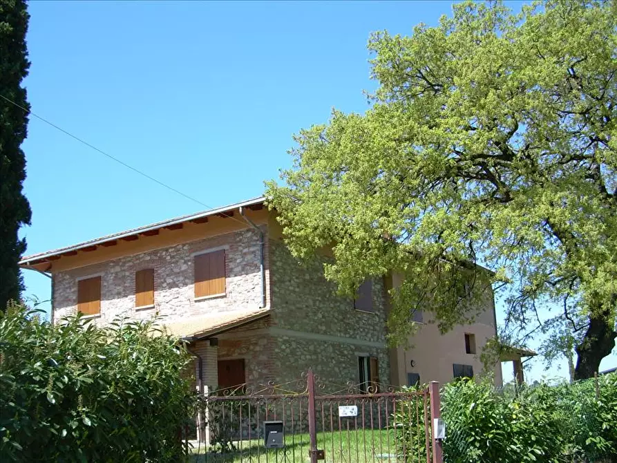 Immagine 7 di Azienda agricola in vendita  in Via Castagni a Castiglione Del Lago