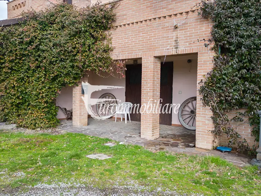 Immagine 9 di Azienda agricola in vendita  in Via Castagni a Castiglione Del Lago