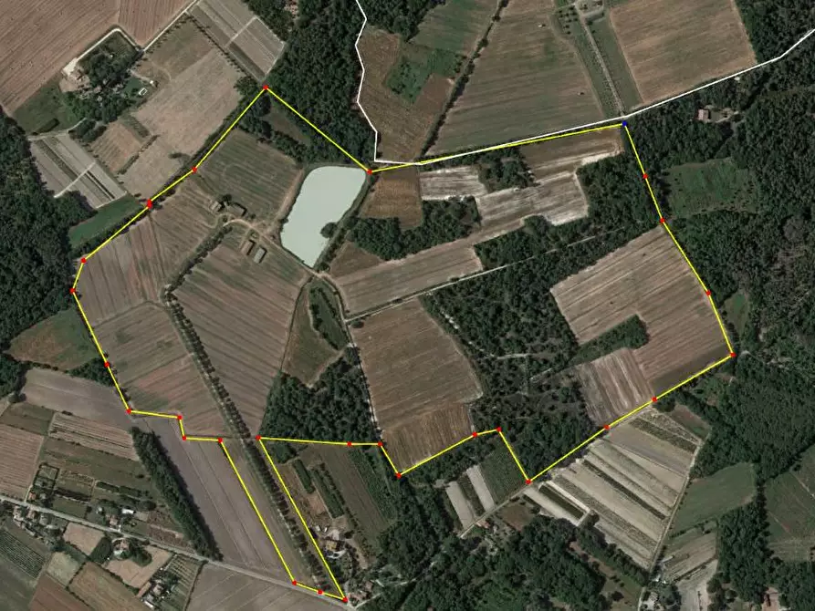 Immagine 11 di Azienda agricola in vendita  in via Piana a Castiglione Del Lago