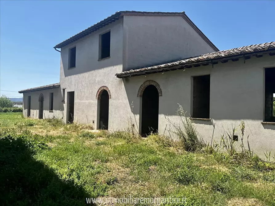 Immagine 1 di Rustico / casale in vendita  in Montallese-Zona Quattro Poderi a Chiusi