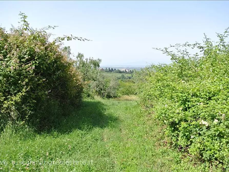 Immagine 3 di Rustico / casale in vendita  in SP19 a Sarteano