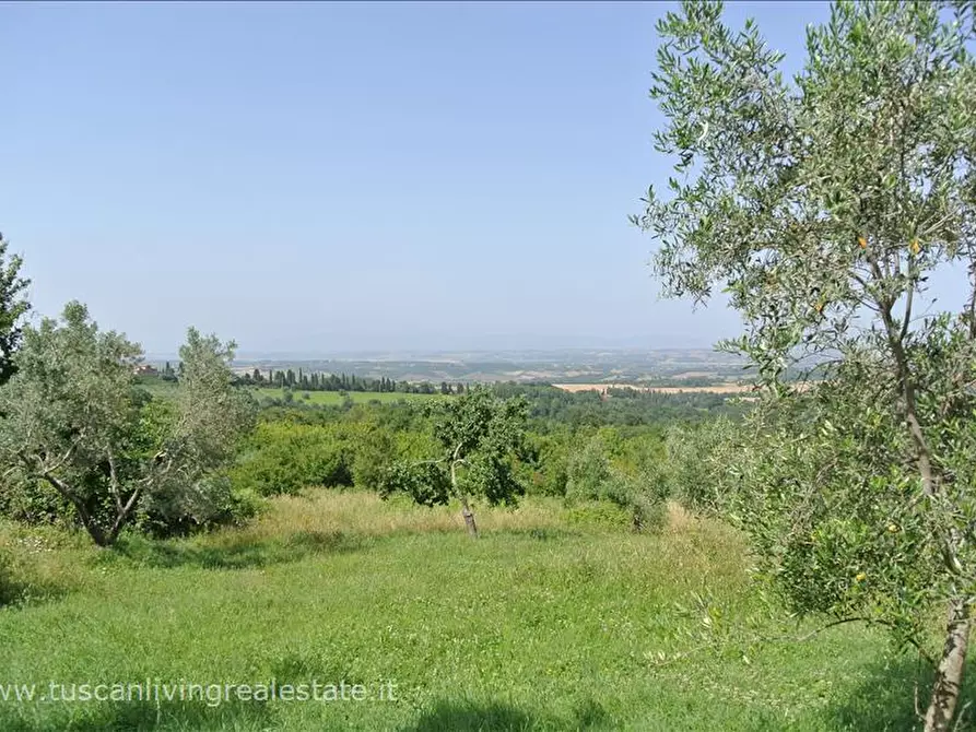 Immagine 5 di Rustico / casale in vendita  in SP19 a Sarteano