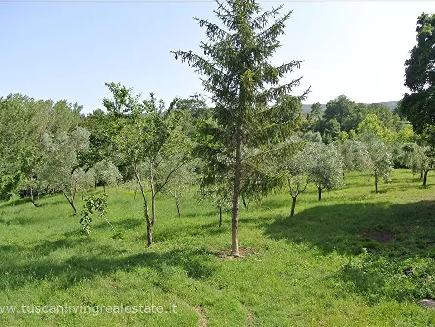 Immagine 7 di Rustico / casale in vendita  in SP19 a Sarteano