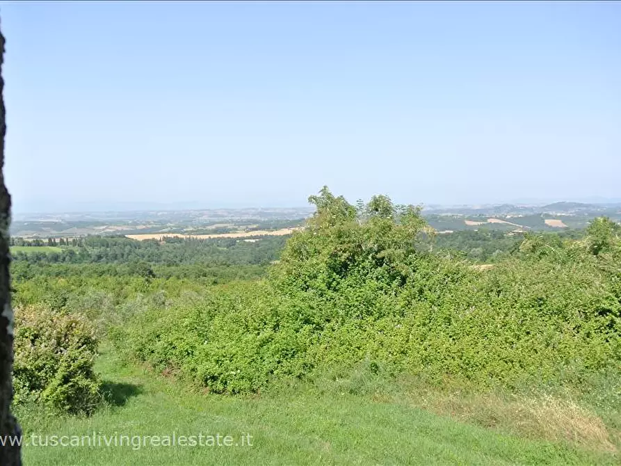 Immagine 9 di Rustico / casale in vendita  in SP19 a Sarteano