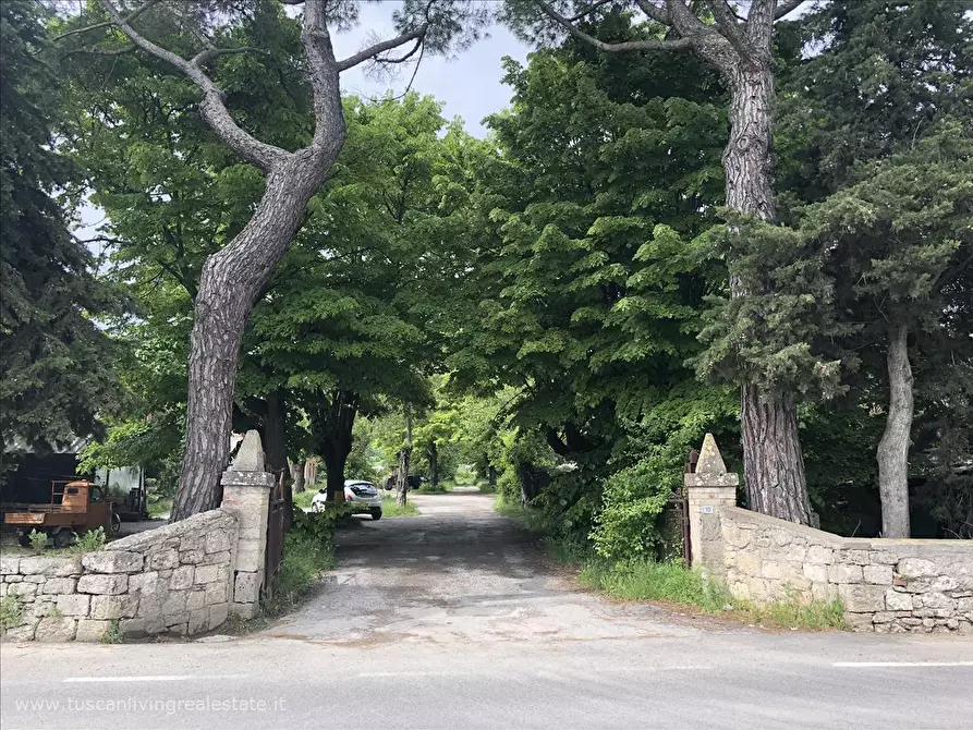 Immagine 4 di Rustico / casale in vendita  in Viale Amiata a Sarteano