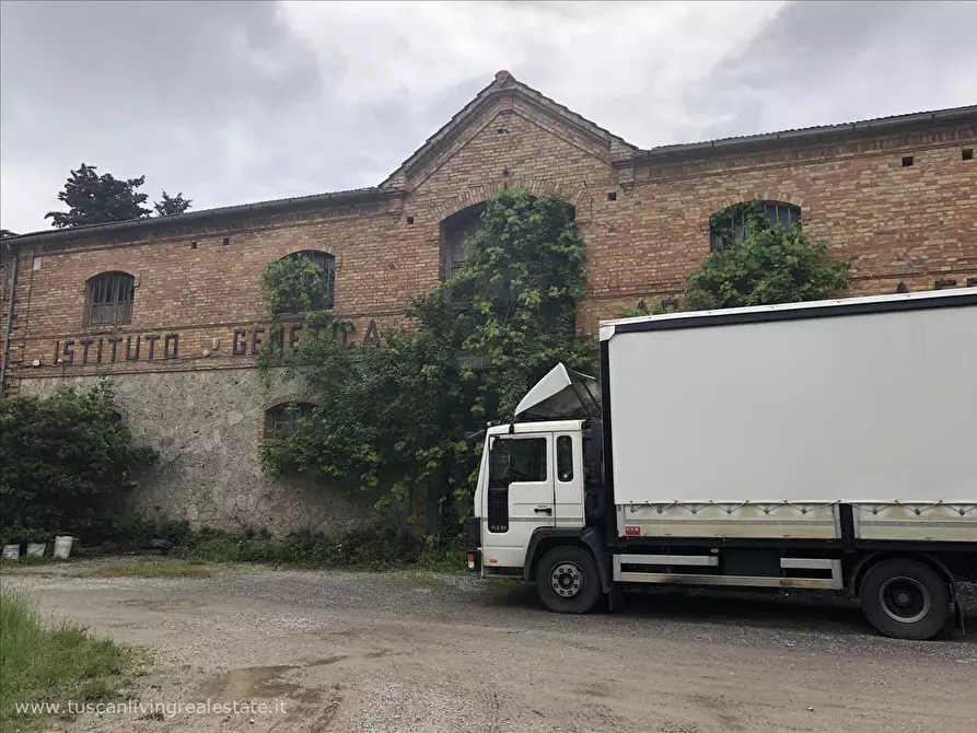 Immagine 5 di Rustico / casale in vendita  in Viale Amiata a Sarteano