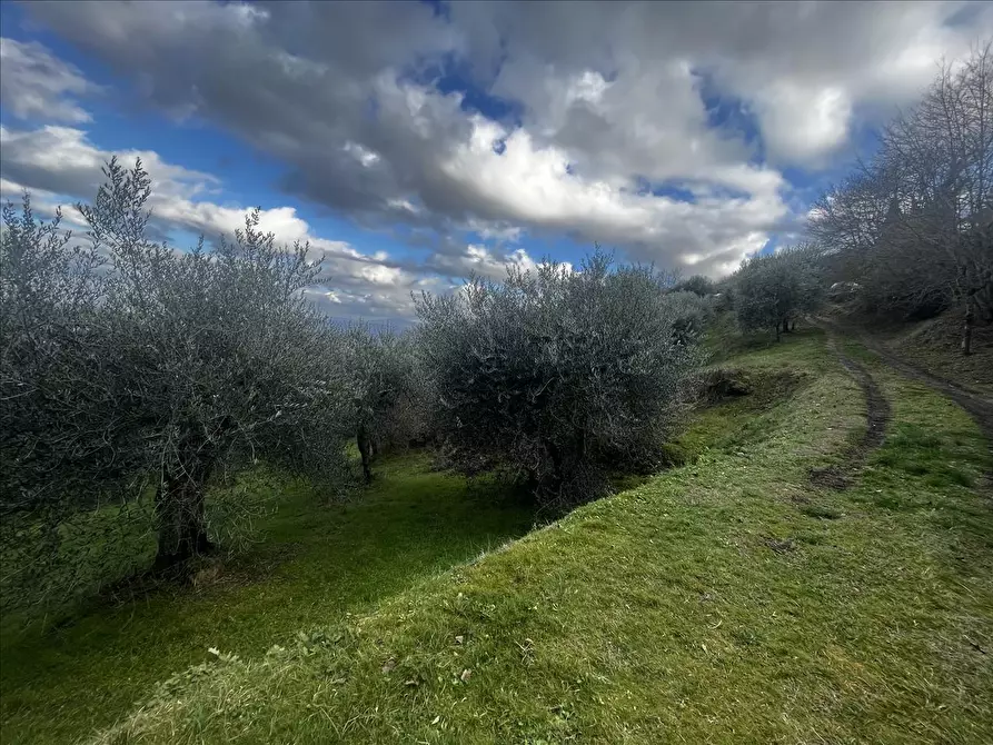 Immagine 1 di Terreno agricolo in vendita  in Via di fuori, 63 a Sarteano
