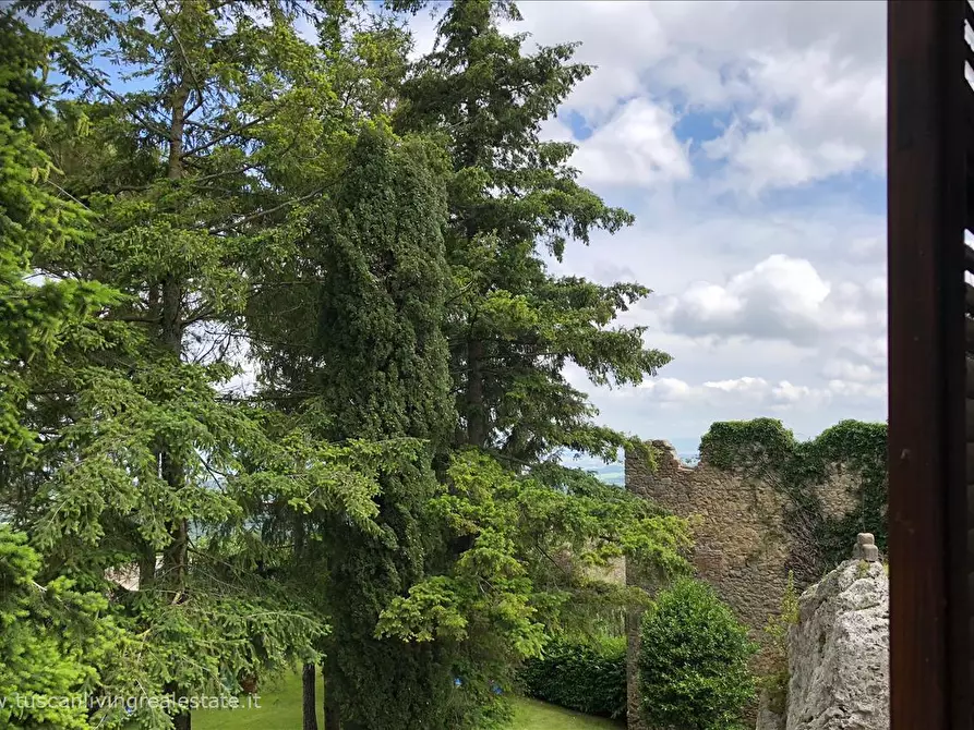Immagine 10 di Appartamento in vendita  in piazza san martino a Sarteano