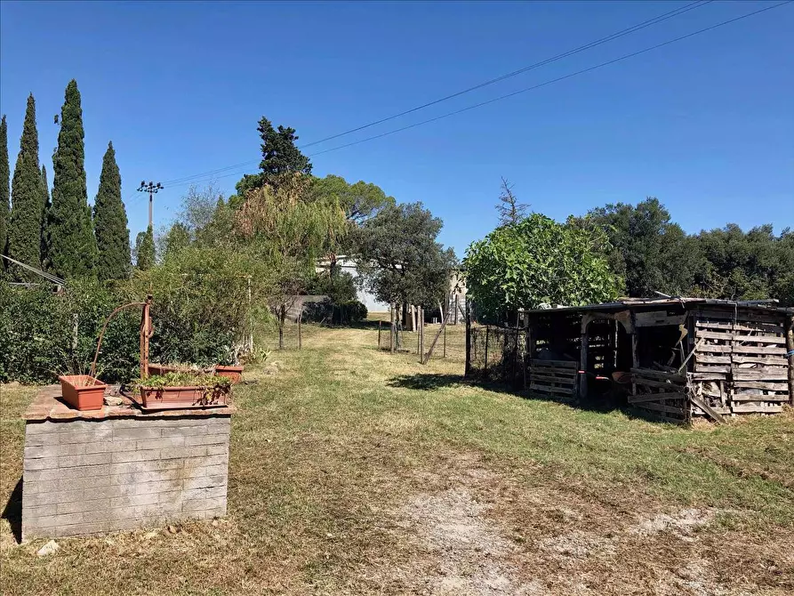 Immagine 7 di Rustico / casale in vendita  a Pienza