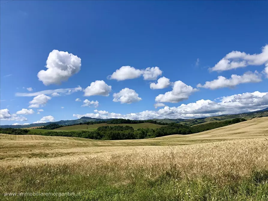 Immagine 4 di Rustico / casale in vendita  a Pienza