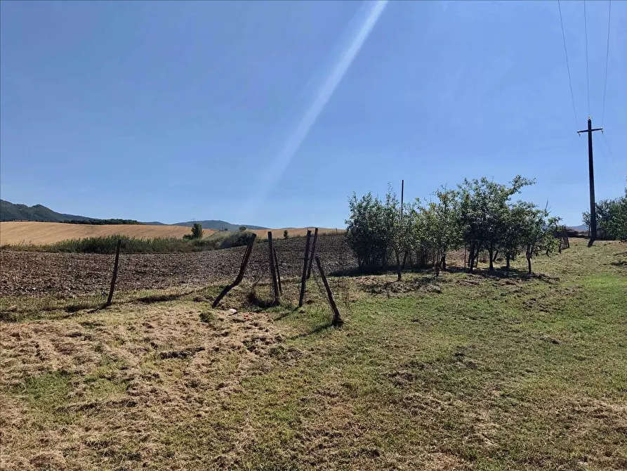 Immagine 8 di Rustico / casale in vendita  a Pienza