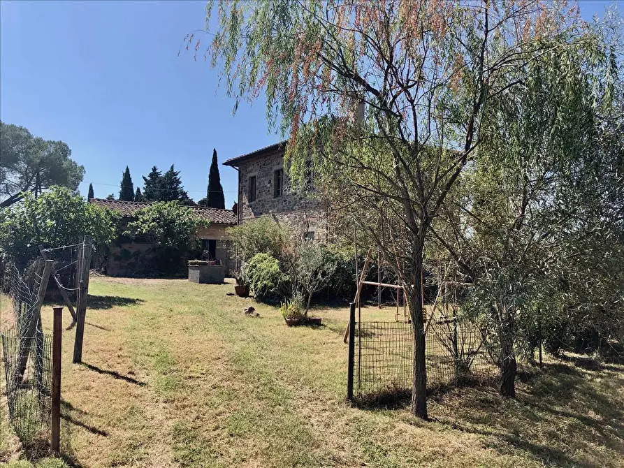 Immagine 6 di Rustico / casale in vendita  a Pienza