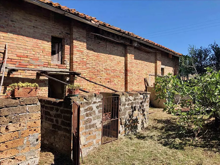 Immagine 9 di Rustico / casale in vendita  a Pienza