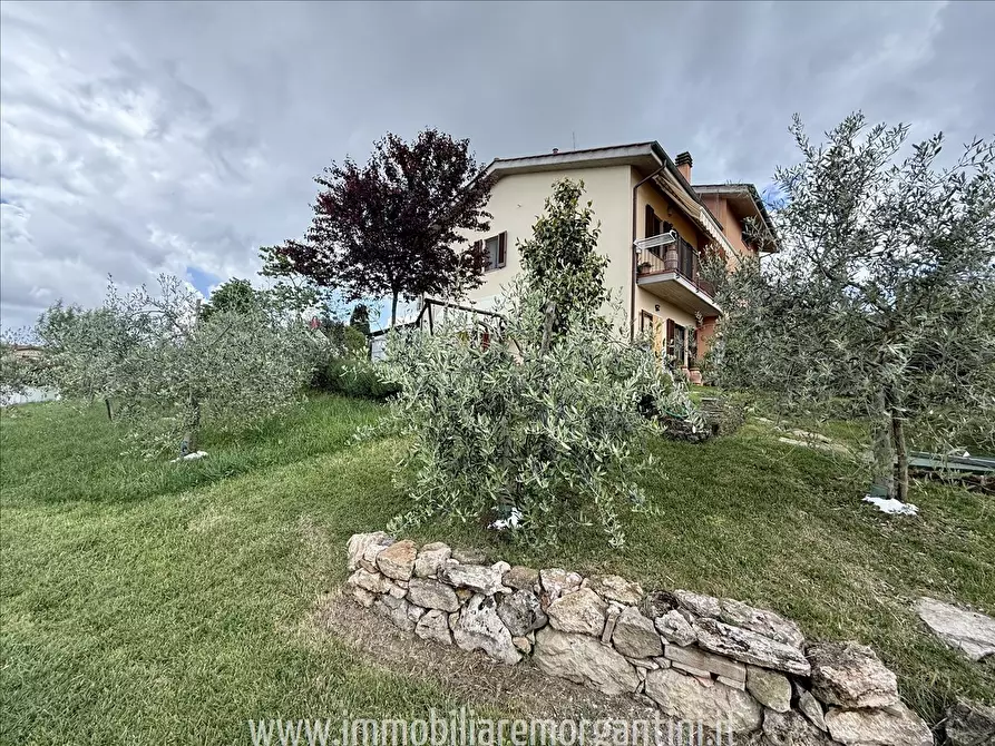 Immagine 3 di Villetta a schiera in vendita  a Sarteano