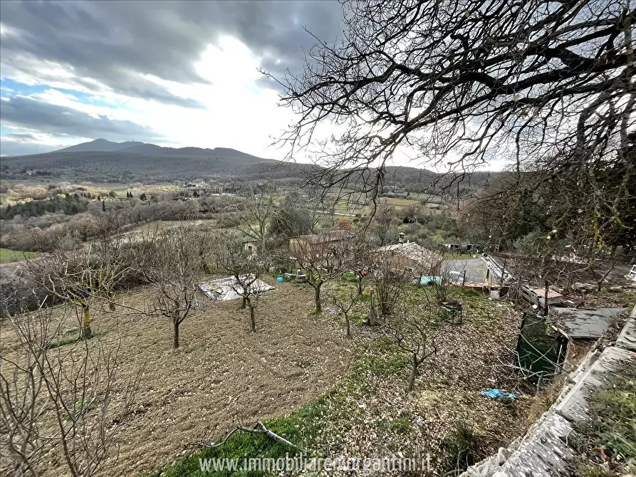 Immagine 2 di Terreno agricolo in vendita  a Sarteano