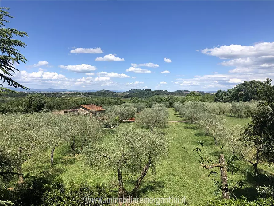 Immagine 6 di Villa in vendita  a Sarteano