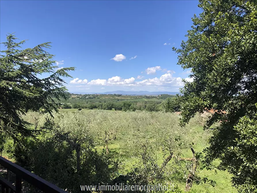 Immagine 5 di Villa in vendita  a Sarteano