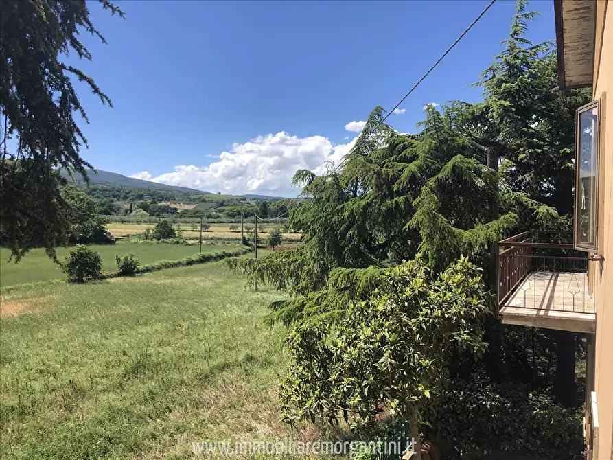 Immagine 7 di Villa in vendita  a Sarteano