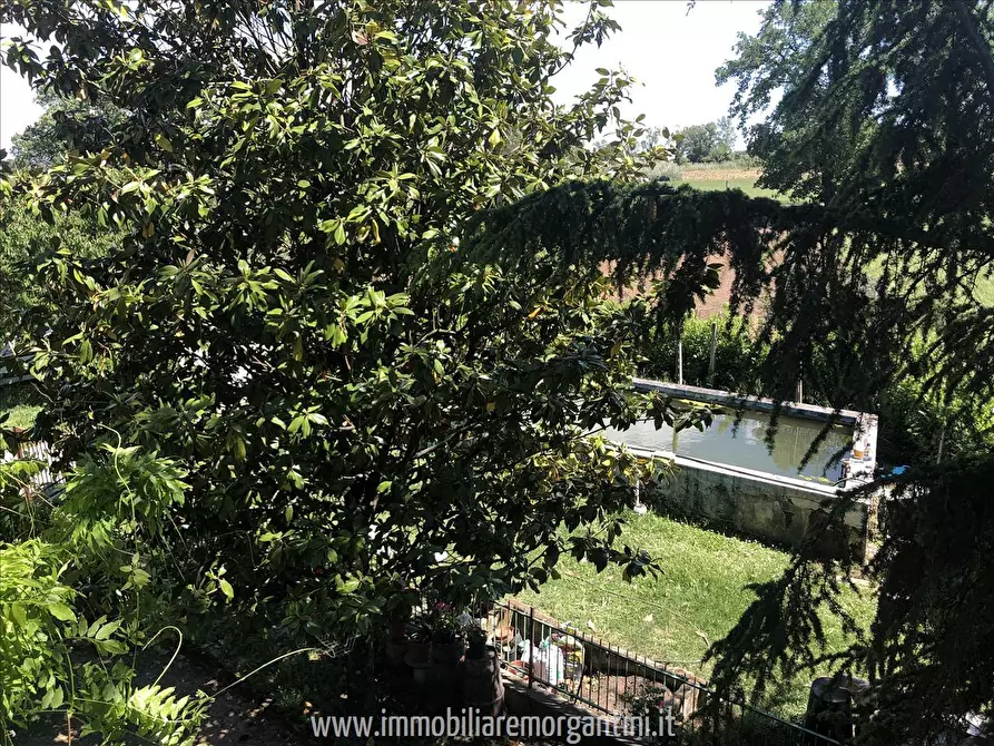 Immagine 9 di Villa in vendita  a Sarteano