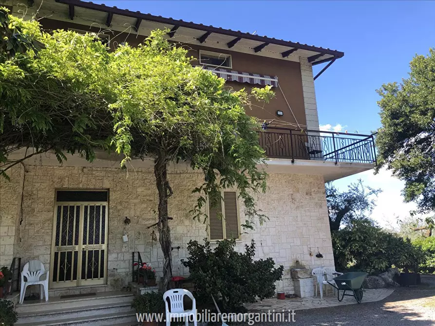 Immagine 4 di Villa in vendita  a Sarteano