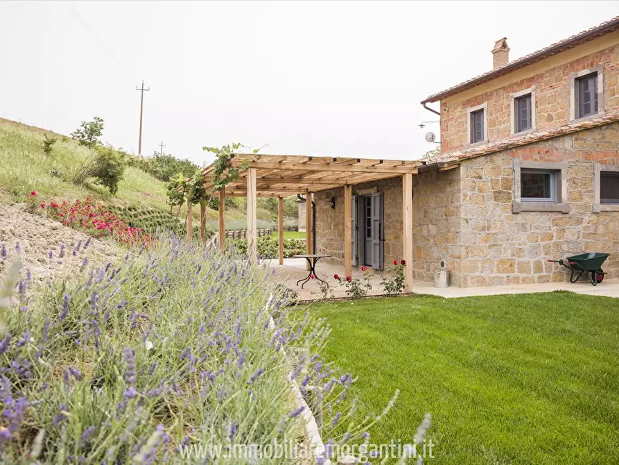 Immagine 2 di Rustico / casale in vendita  a Pienza