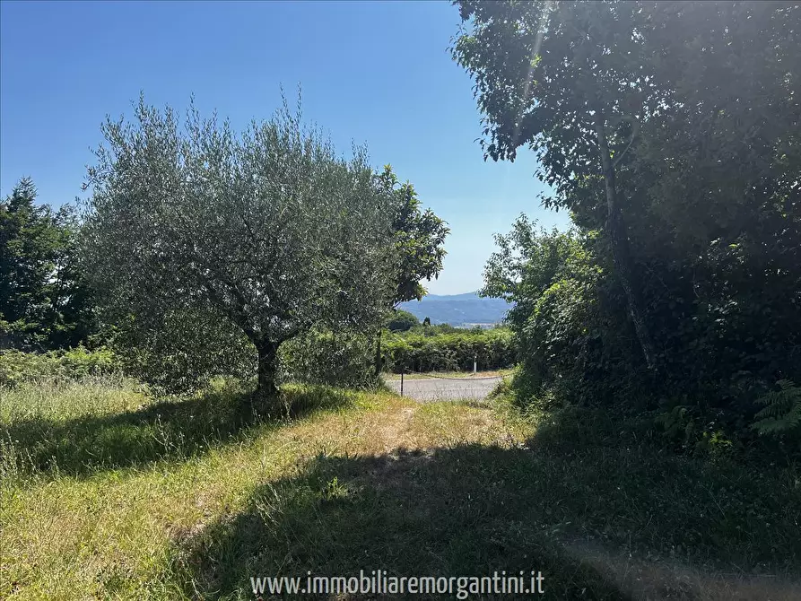 Immagine 5 di Terreno agricolo in vendita  in via di fuori 63 a Sarteano